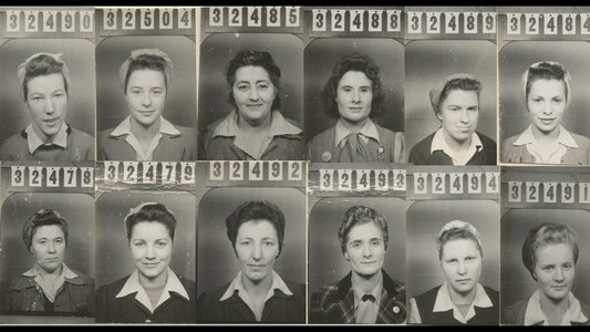 Rosies of the North