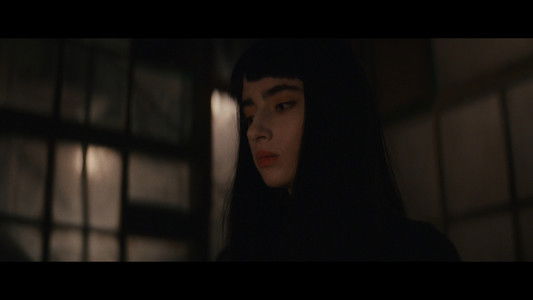 Vampire humaniste cherche suicidaire consentant