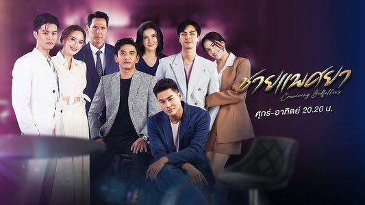 ชายแพศยา