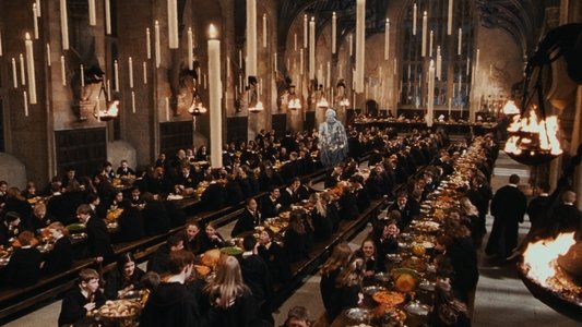 Harry Potter and the Chamber of Secrets