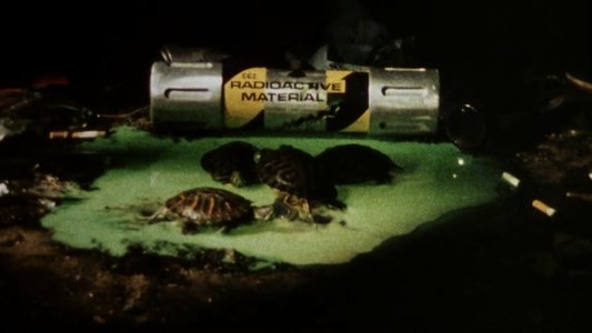 Teenage Mutant Ninja Turtles