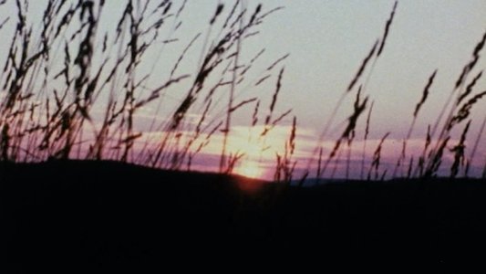 Horizons