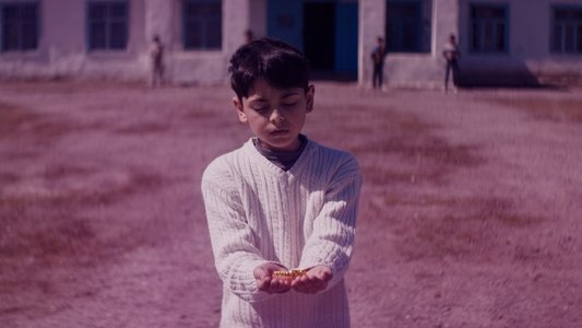 Mənim sehrli dünyam