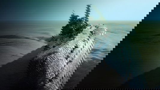 Drain The Ocean: WWII