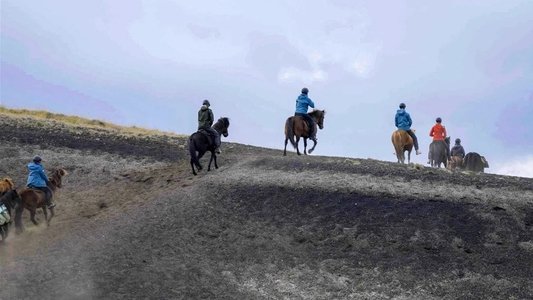 Islande, la quête des origines