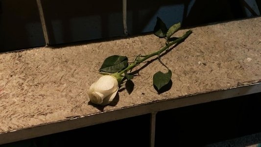 El Rosado Encanto