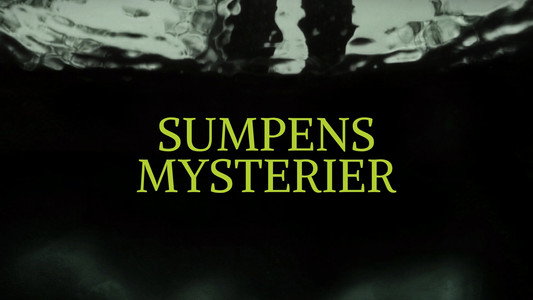 Swamp Murders