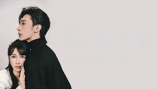 关于黎秘书的一切