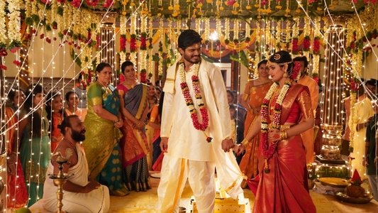 పుష్పక విమానం