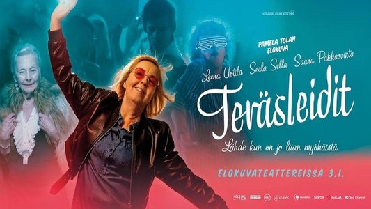 Teräsleidit