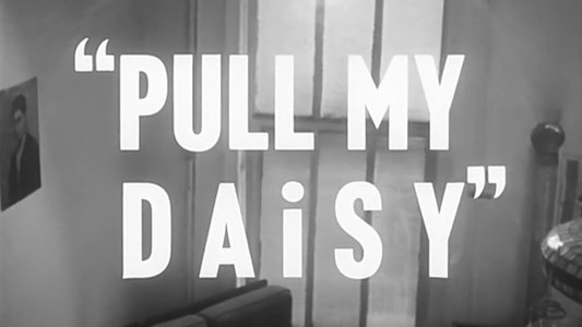 Pull My Daisy