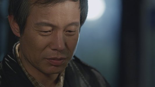 쇠파리