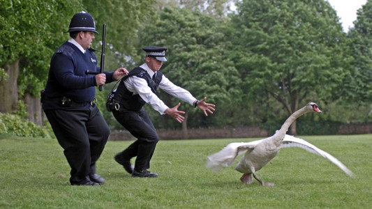 Hot Fuzz