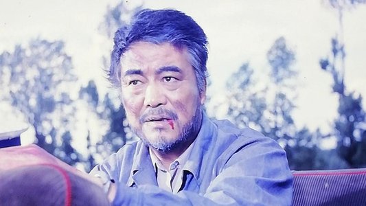 戴手铐的旅客