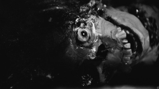 Night of the Living Dead