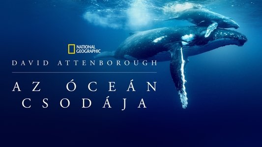 Ocean with David Attenborough