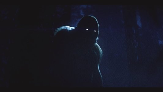 On the Trail of Bigfoot:  Land of the Missing