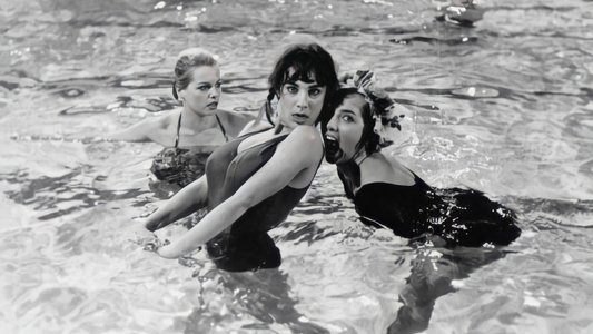 Les bonnes femmes