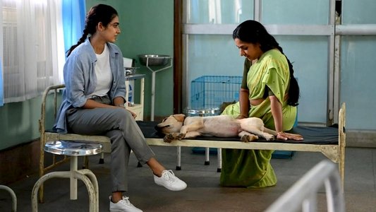 మీట్‌ క్యూట్‌