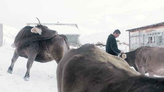 Drii Winter