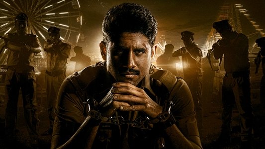 కస్టడీ