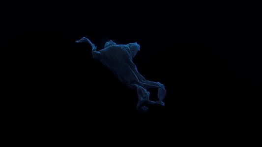 Under the Skin