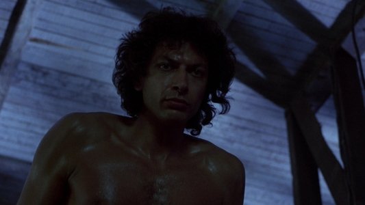 The Fly