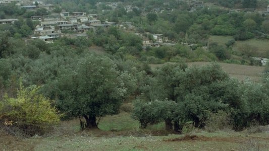 خانه‌ی دوست کجاست؟