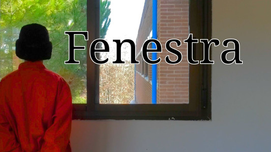 Fenestra