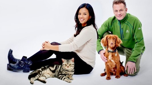 Cats v Dogs: Which is Best?