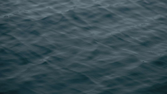 Stille