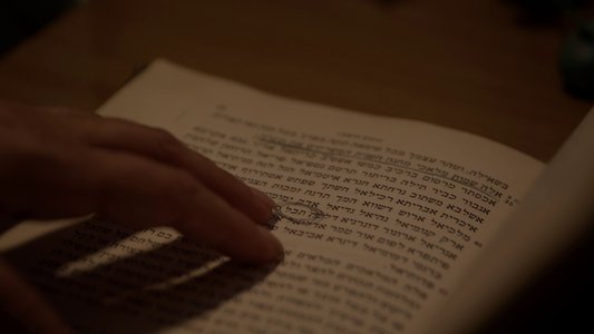 תבל