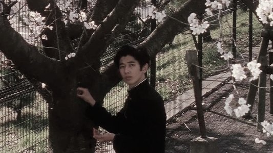 青い春