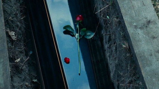 The Secret of Moonacre