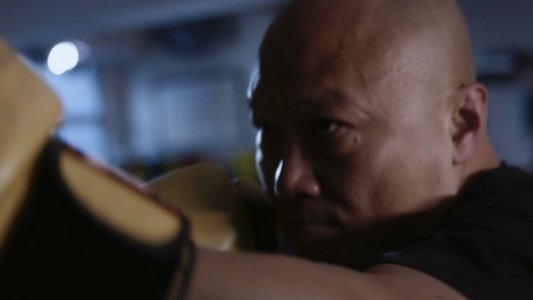 Triades : la Mafia chinoise à la conquête du monde