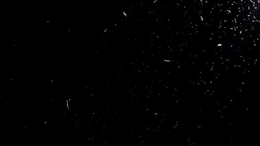Luces del desierto