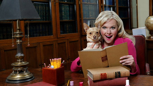 Legally Blonde: The Musical