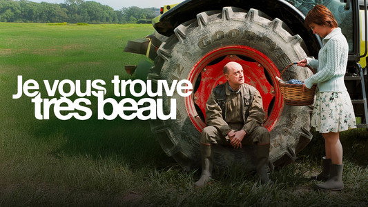 Je vous trouve très beau