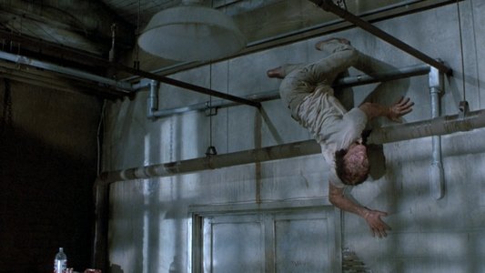 The Fly