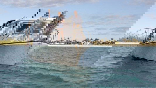 Dolphin Island