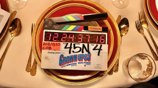 Grown Ups 3