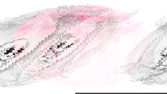 Sangre de Unicornio