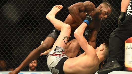 UFC Fight Night  139:  Korean Zombie vs Rodriguez