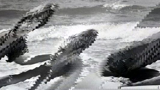Lost Flight
