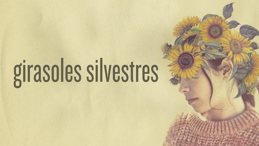 Girasoles silvestres