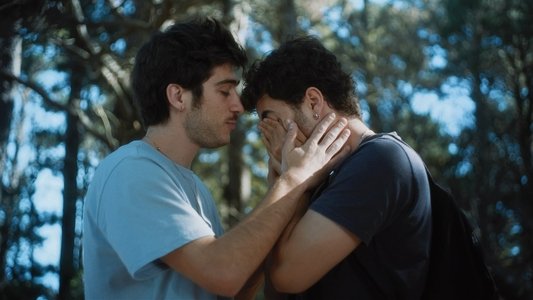 Los amantes astronautas