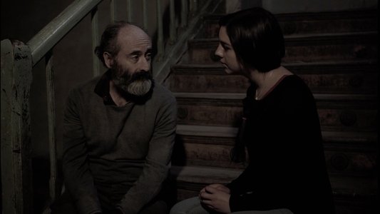 Cenizas