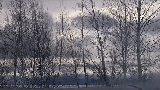 Doctor Zhivago