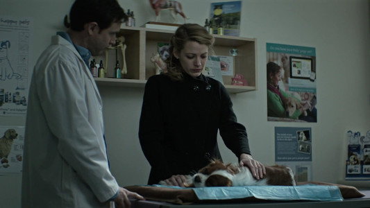 The Age of Adaline