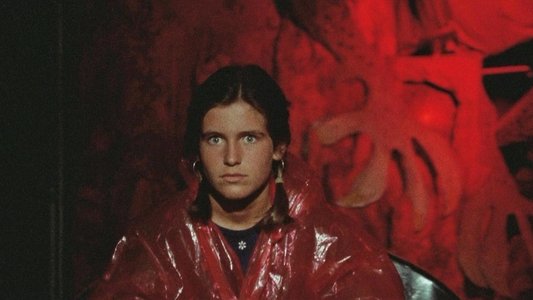 Gatti rossi in un labirinto di vetro